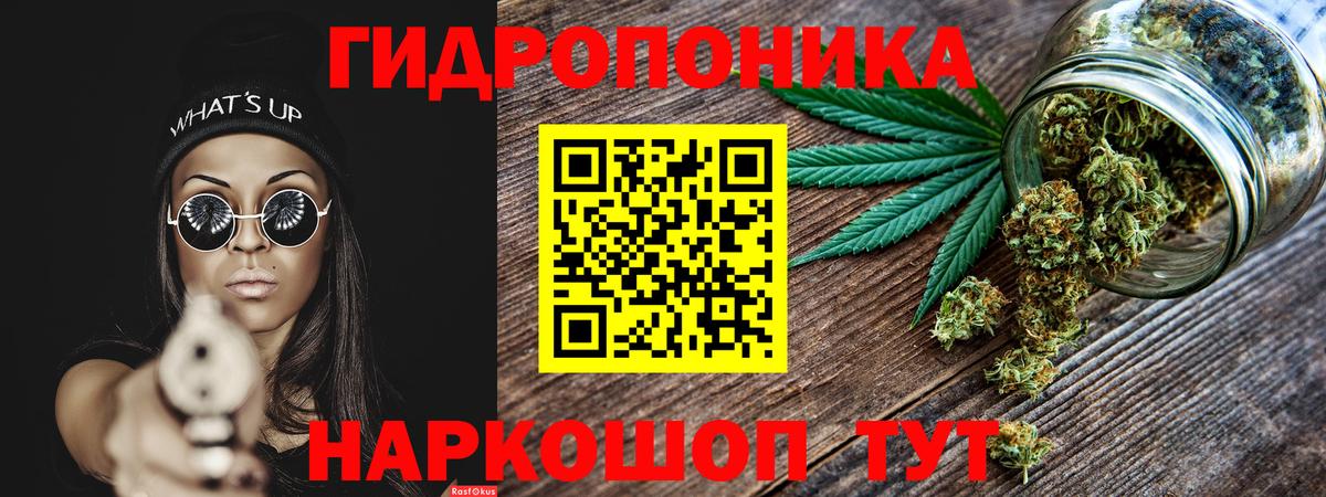 Бошки Шишки конопля  Вход с VPN  Ханты-Мансийск  Бошки Шишки конопля  Каннабис Bruce Banner  Каннабис планчик 